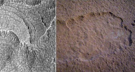 To larger image 
of this comparison pic